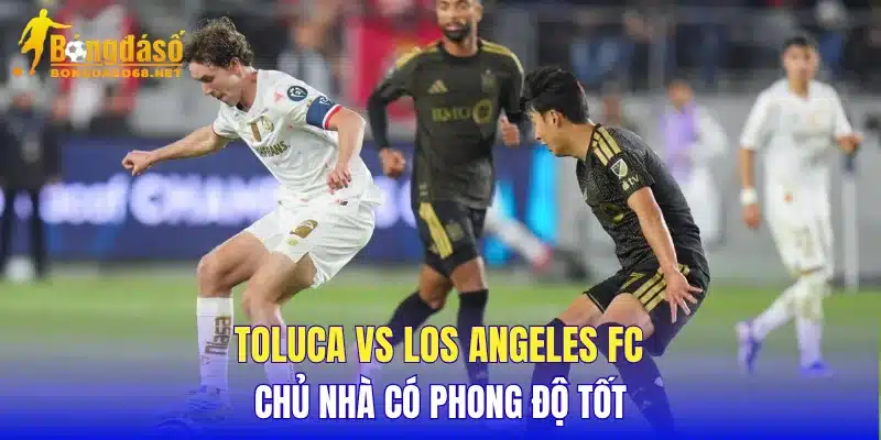 Toluca vs Los Angeles FC chủ nhà có phong độ tốt 