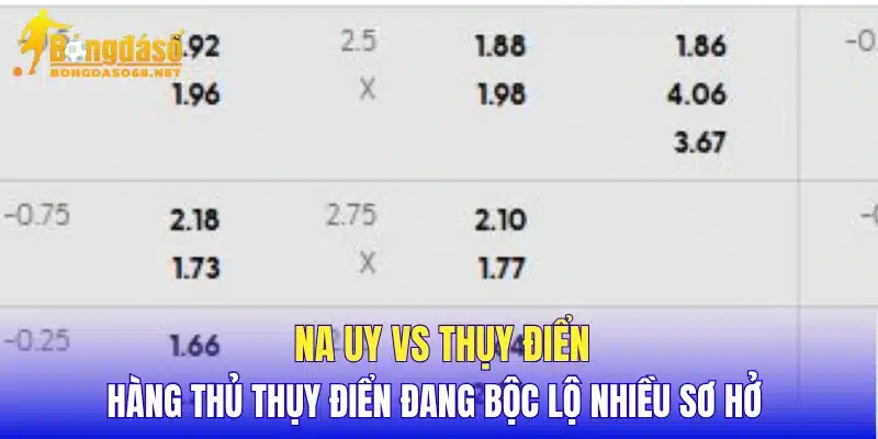 Na Uy vs Thụy Điển hàng thủ Thụy Điển đang bộc lộ nhiều sơ hở 