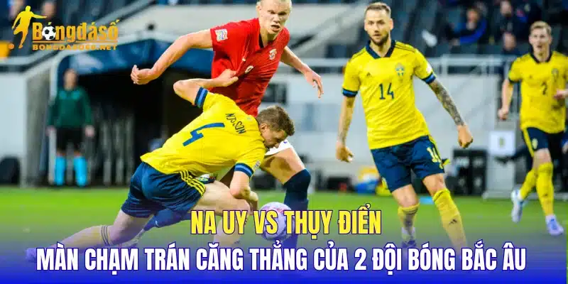Na Uy vs Thụy Điển màn chạm trán căng thẳng của 2 đội bóng Bắc Âu 